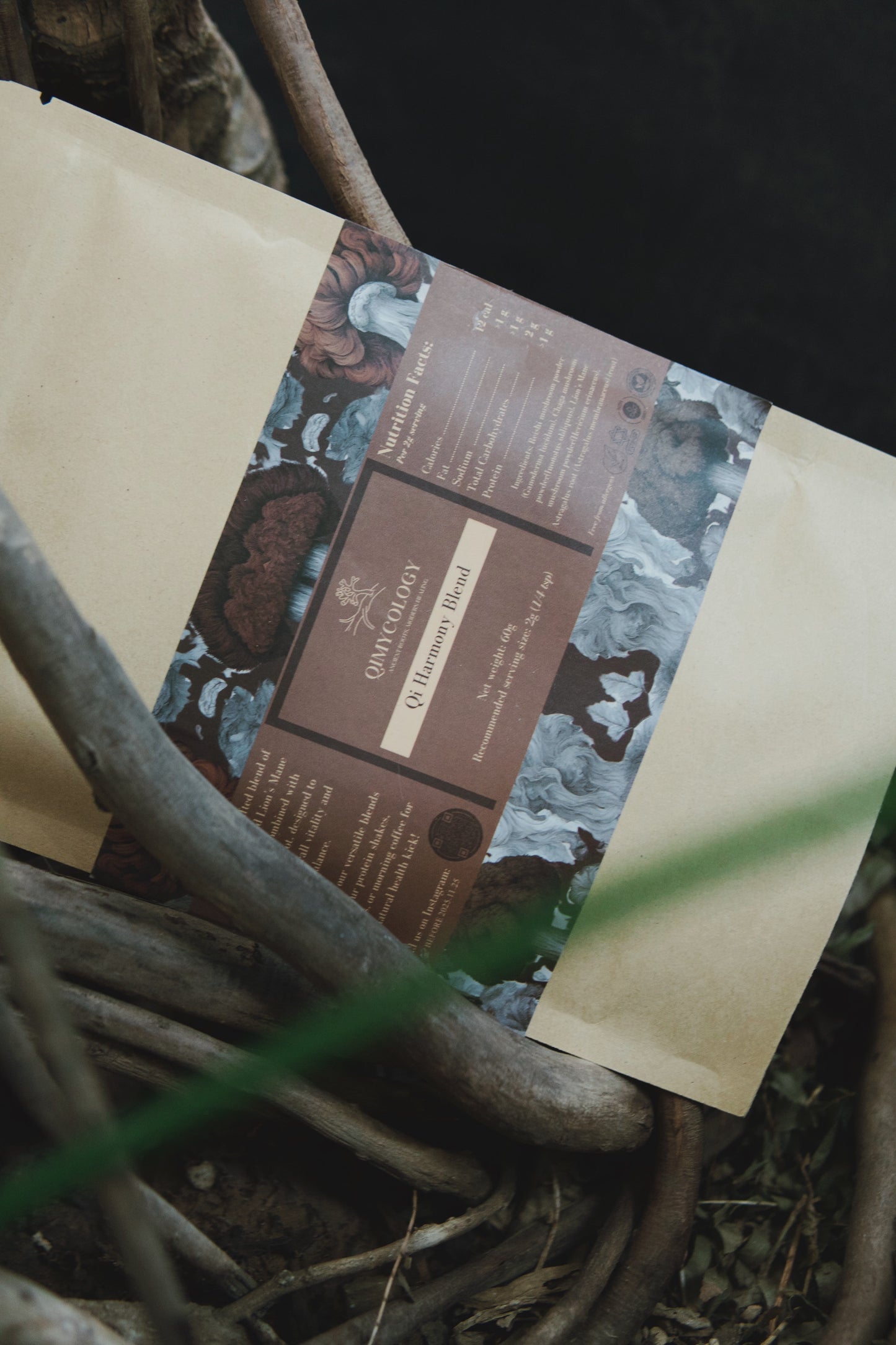 The Day-Night System